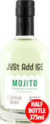 Just Add Ice - Cayman Reef Mojito 375ml 0