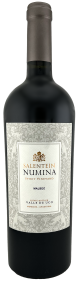 Salentein Numina Spirit Vineyard Uco Valley Malbec 2020