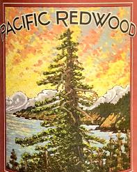 Pacific Redwood Organic Pinot Noir